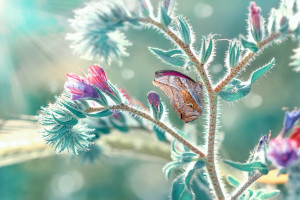 一周双赛！苏超争冠白热化，豪门恩怨再升级